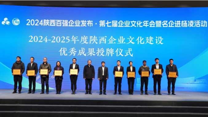 161734328821109155.png image.png